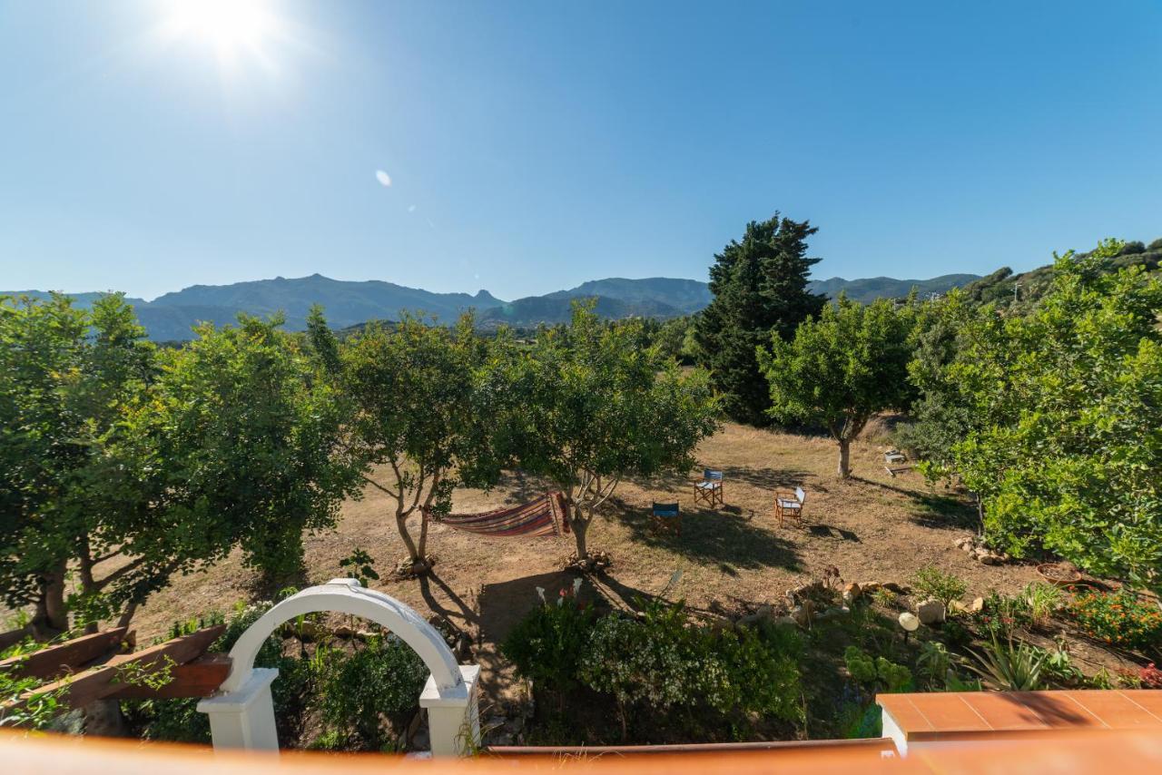 Fabulous With Amazing View Apartment